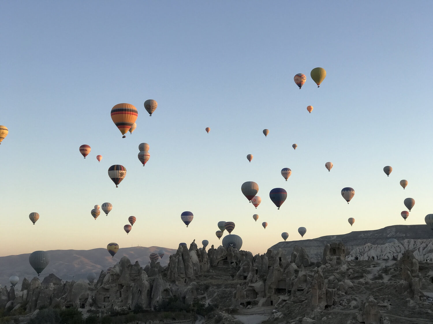 Photo of the balloons