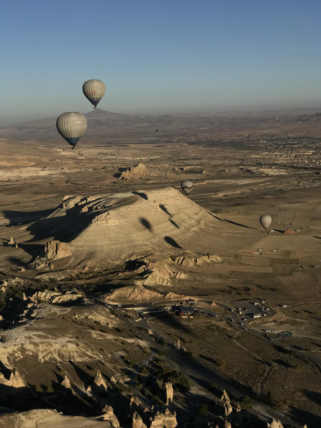 Another photo of the balloons