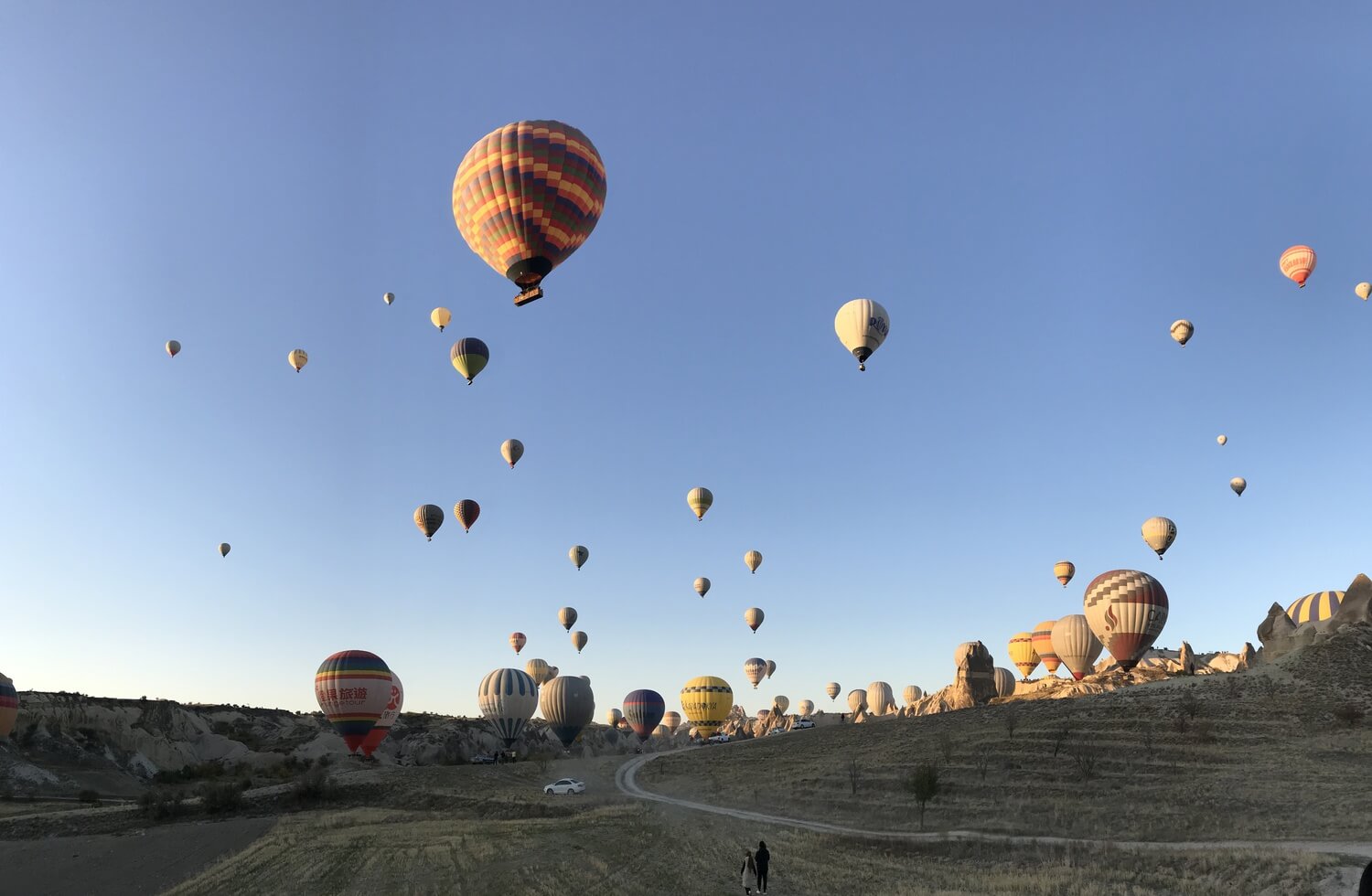 Photo of balloons in Love Valley