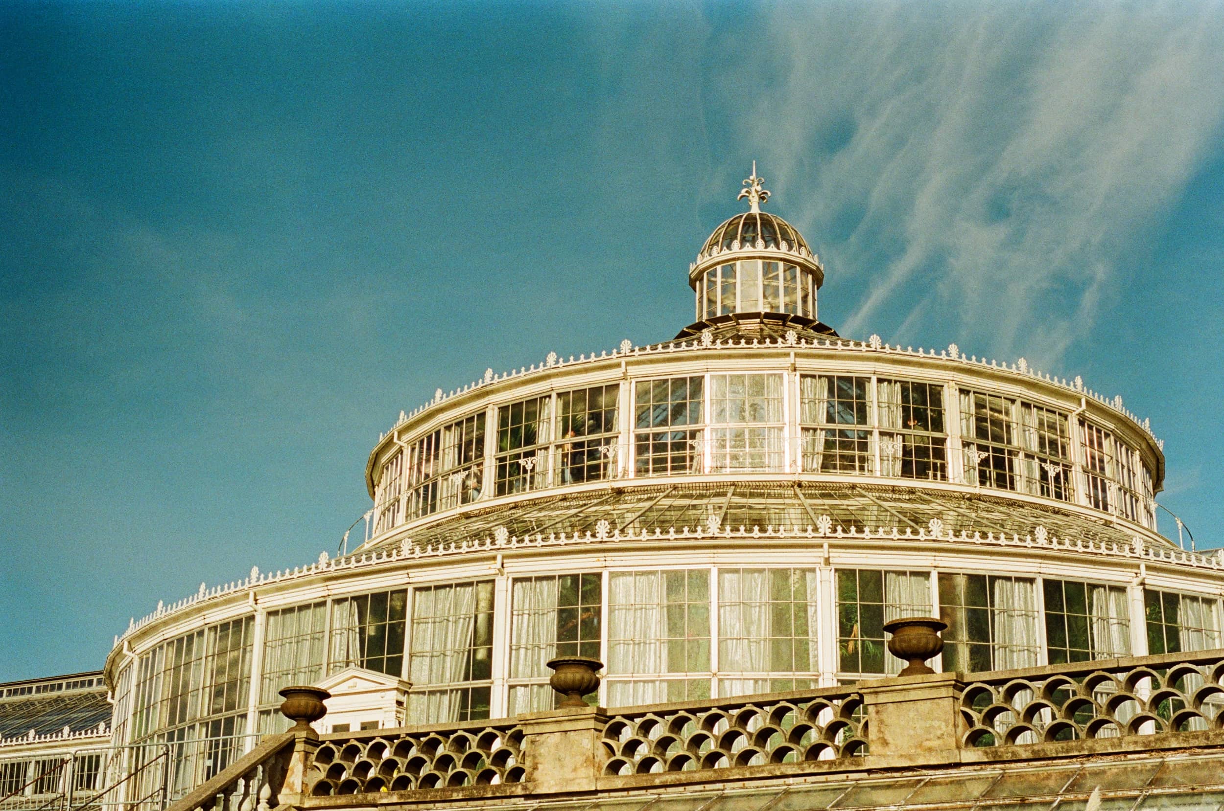 Image: Palm House