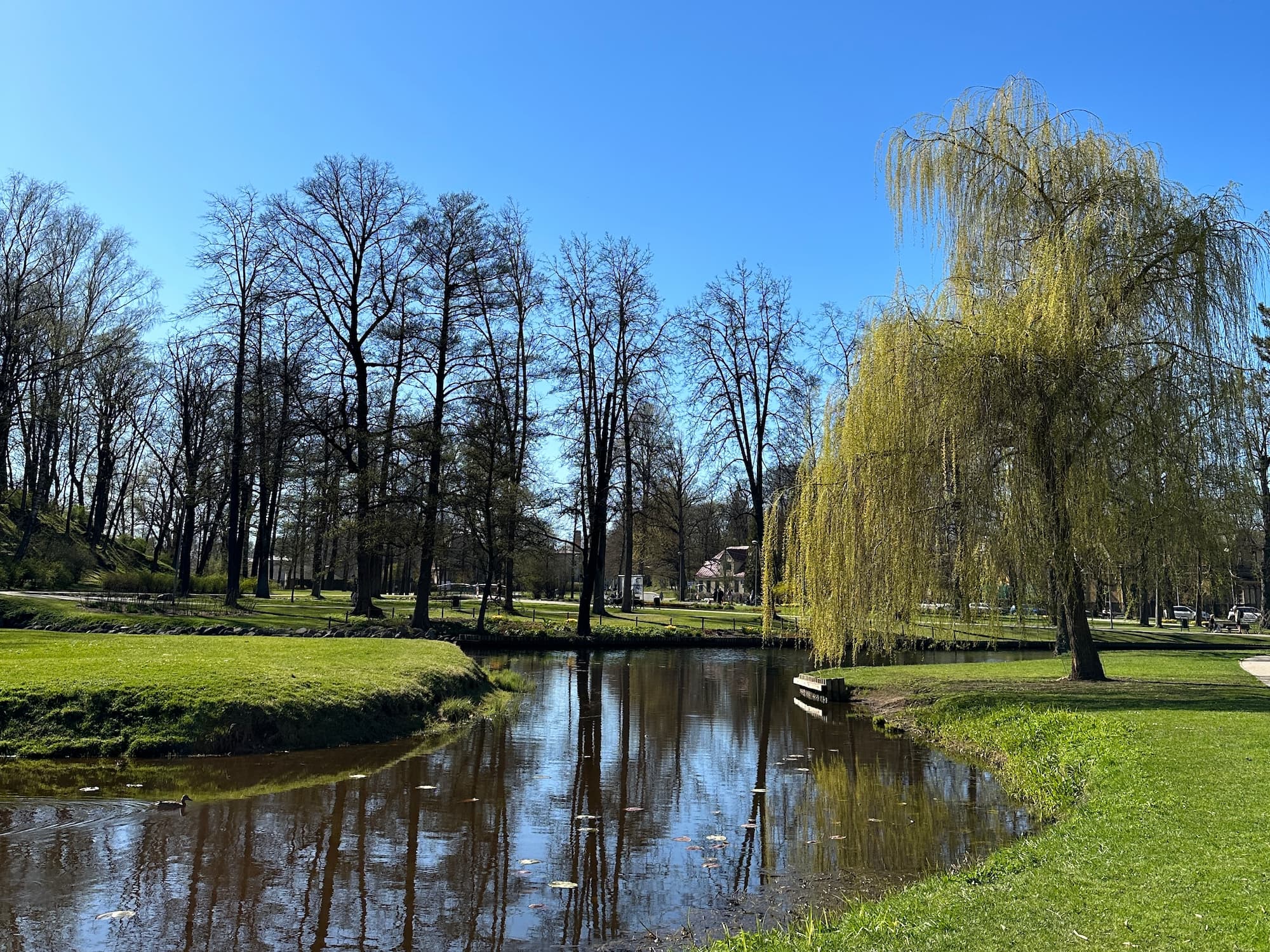 Water canal inside the park