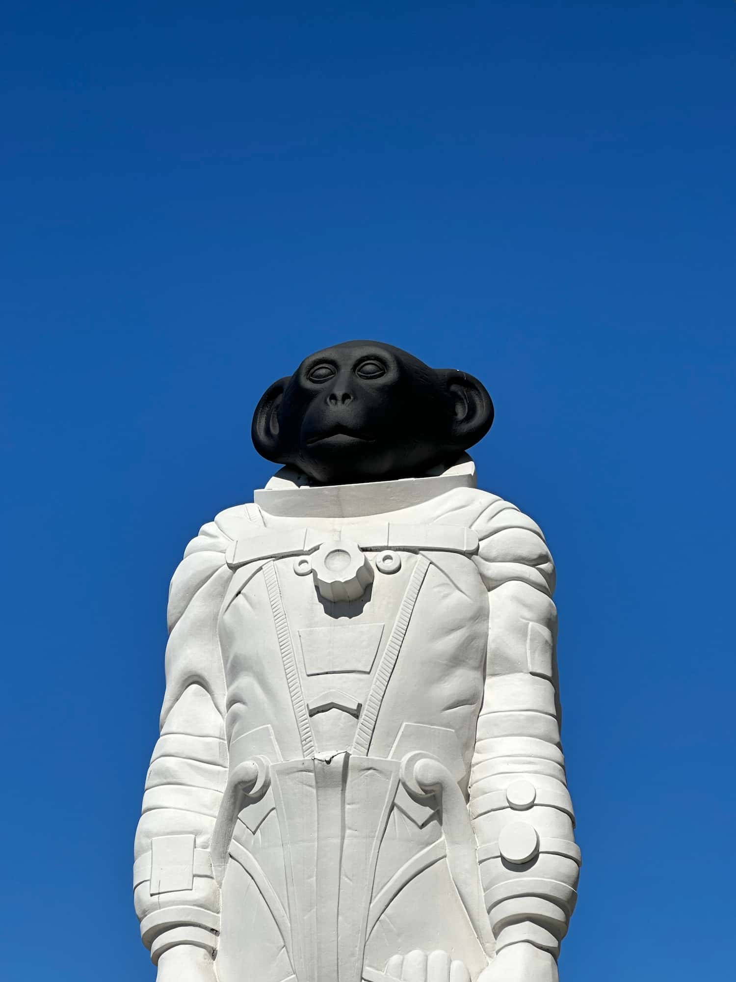 Sam - the space monkey, with a clear blue sky behind it